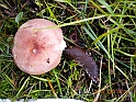 camera 038